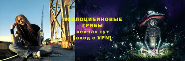 скорость Сафоново